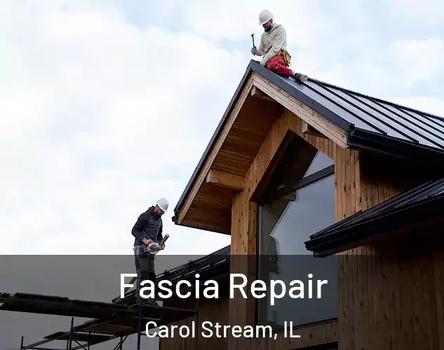  Fascia Repair Carol Stream, IL
