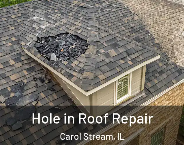 Hole in Roof Repair Carol Stream, IL