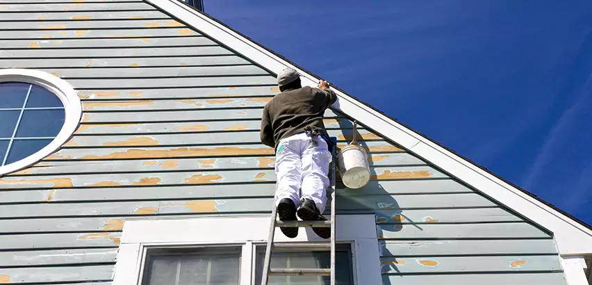 Professional Roof and Siding Repair Services in Carol Stream, IL