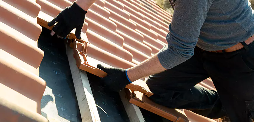 Professional Tile Roof Restoration Services in Carol Stream, IL