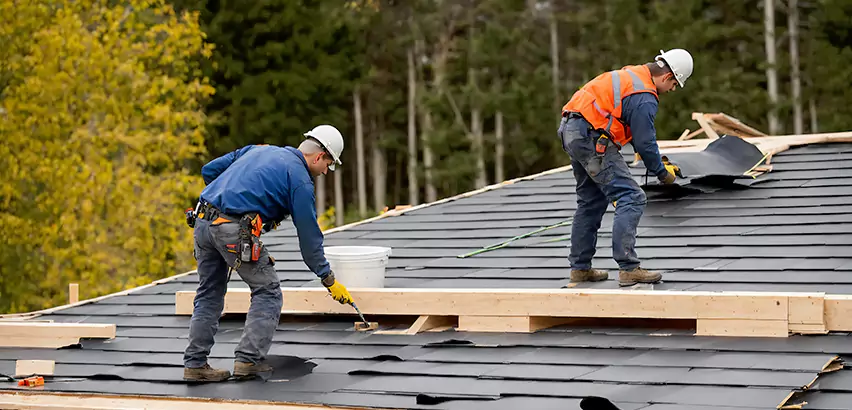 Agricultural Roof Maintenance Carol Stream