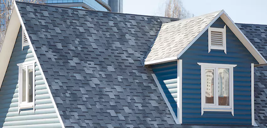 Shingle Roof Maintenance in Carol Stream