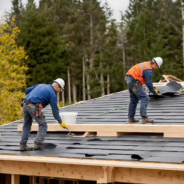 Why Businesses Across Carol Stream Depend on Carol Stream Roofing Pro for Roof Repairs?