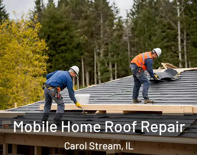  Mobile Home Roof Repair Carol Stream, IL