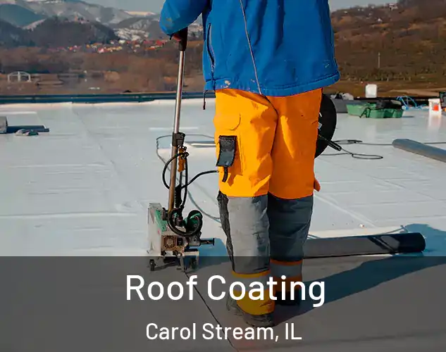  Roof Coating Carol Stream, IL