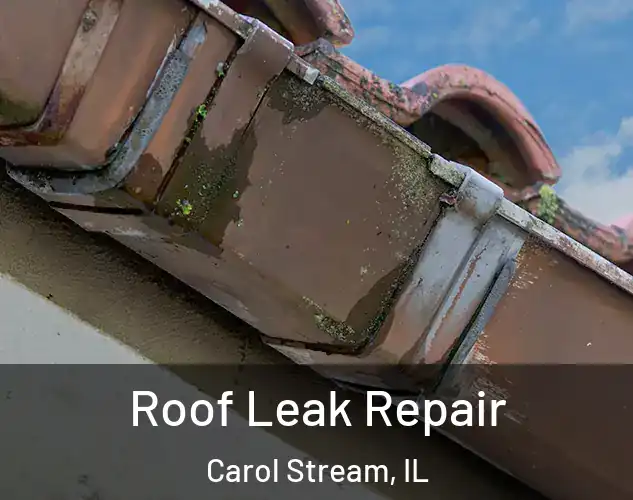  Roof Leak Repair Carol Stream, IL