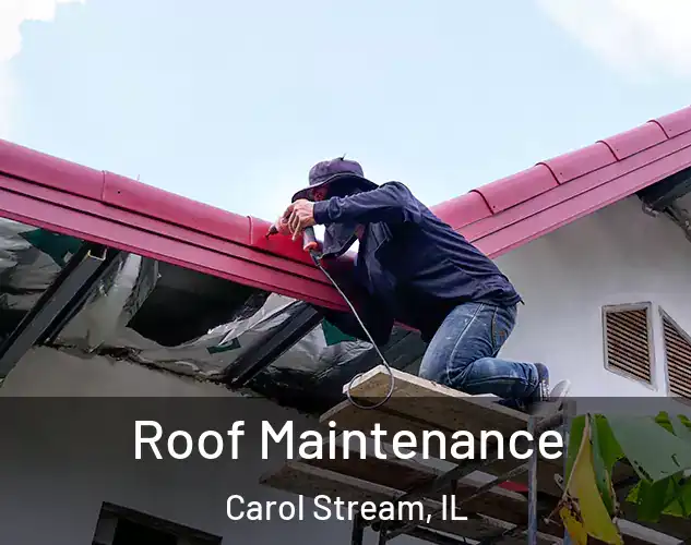  Roof Maintenance Carol Stream, IL