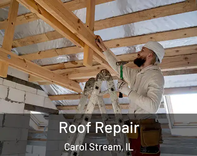  Roof Repair Carol Stream, IL