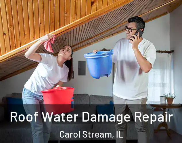  Roof Water Damage Repair Carol Stream, IL