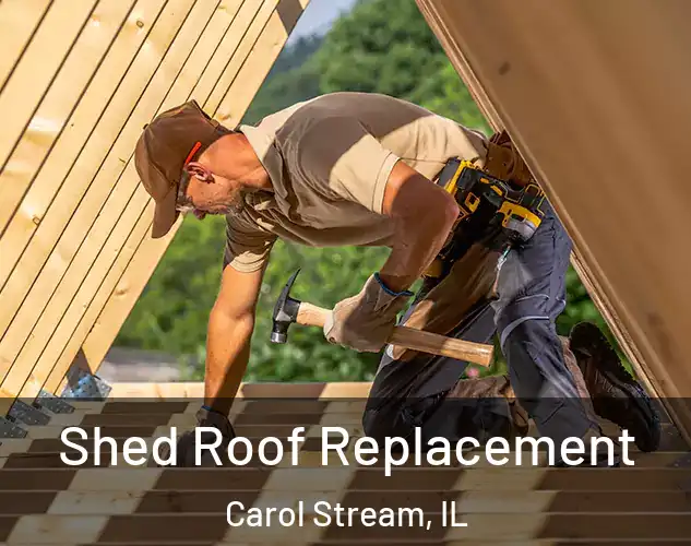  Shed Roof Replacement Carol Stream, IL