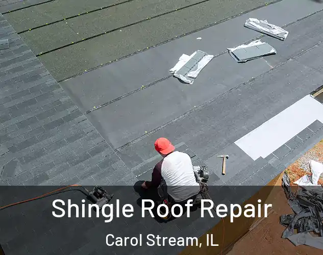  Shingle Roof Repair Carol Stream, IL