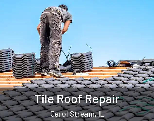  Tile Roof Repair Carol Stream, IL