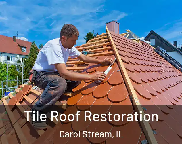  Tile Roof Restoration Carol Stream, IL